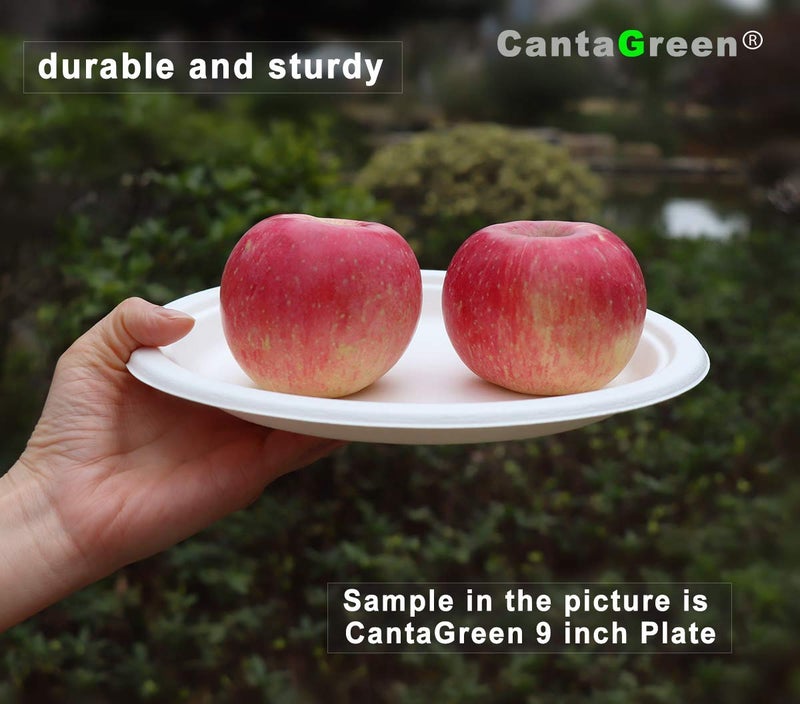 CantaGreen 12 OZ Compostable Bowls,100 Count Heavyduty Sugarcane/Bagasse and Bamboo Fibre Biodegradable Disposable Paper Bowls - Image 4